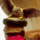 Image for article titled How Saving an Endangered Bird Almost Doomed It Again